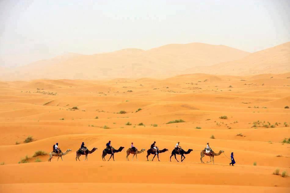 Sand Rose Luxury Camp مرزوكة المظهر الخارجي الصورة